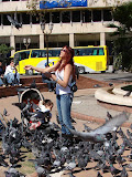 Palomas en la Plaza de Mayo