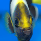 DSC_2172.jpg
