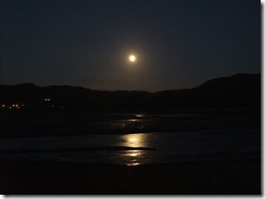 DSCF0053