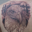 Eagle #9