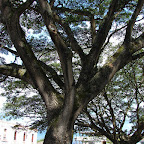 Plaza de Guacarí Plaza de Guacarí
