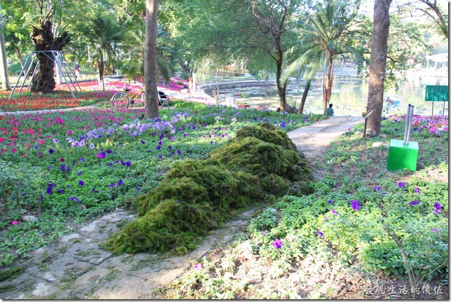 台南-2013台南公園百花祭