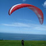 Flying Torrey Pines