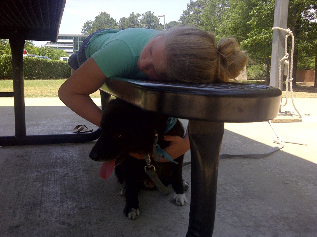 [IMG-20110614-00938%255B3%255D.jpg]