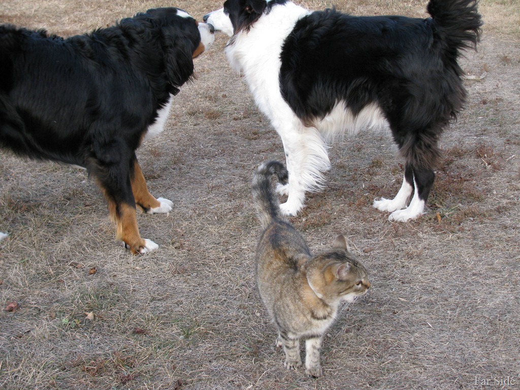 [Odda%2520and%2520the%2520Furball%255B9%255D.jpg]