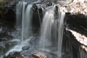 DSC_0314.JPG DSC 0314