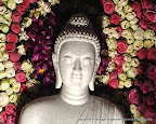 28 Marble Buddha Statues Pujawa