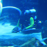 IMG_4768.JPG