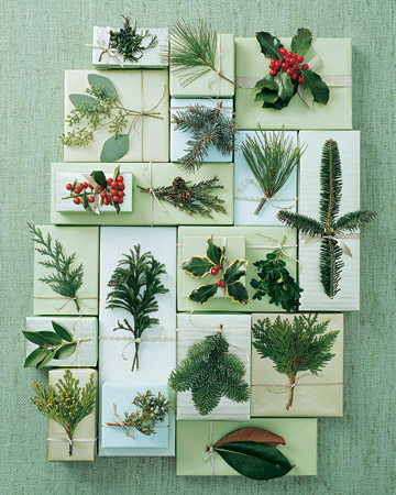 From the traditional favorites to lesser-known beauties, here are 19 varieties with information on where they grow and how to use them.