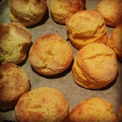 pumpkin scones hot out of the oven