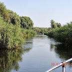 DSCN4600.JPG