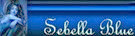 signature (1) signature (1)