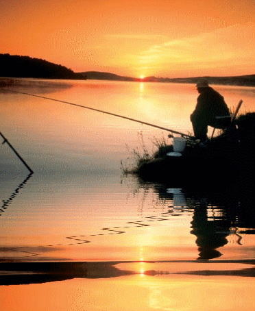 [fishing_-9676%255B2%255D.gif]