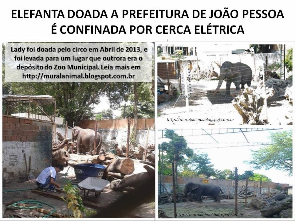 [elefanta-lady1%255B3%255D.jpg]