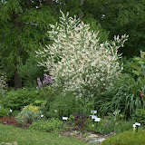 DisplayGardensJune132011 DisplayGardensJune132011