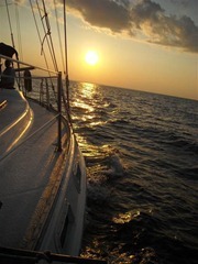clip_image079_thumb clip_image079_thumb