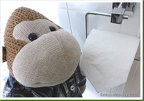 Toilet paper folds Toilet paper folds