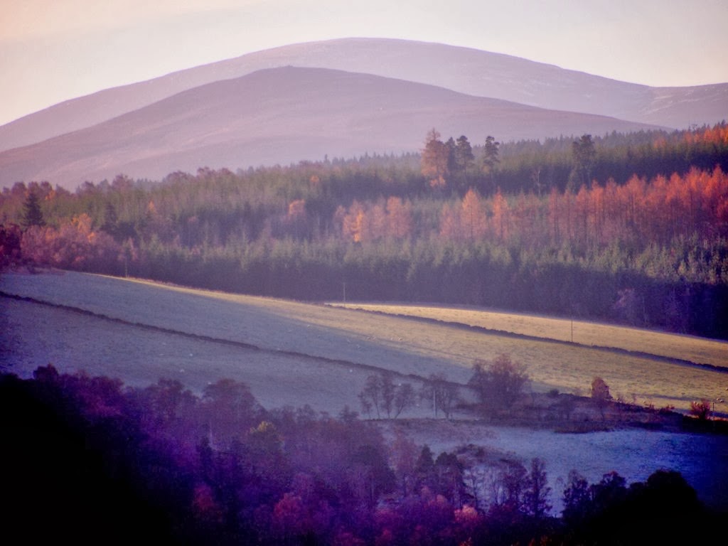 [25%2520Nov%25208%255B3%255D.jpg]