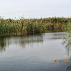 IMG_8010.JPG