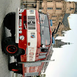 tlf_16_g.jpg