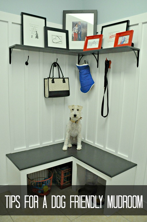 [Tips%2520for%2520a%2520Dog%2520Friendly%2520Mudroom%255B6%255D.jpg]
