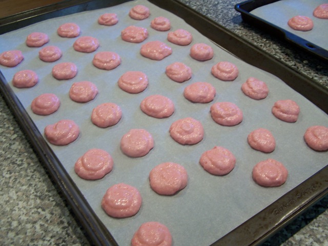 [RaspberryMacarons0015.jpg]