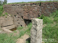 dsc06905.jpg