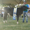 superleite2011_dia1607_67.JPG