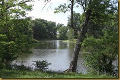 DSCF0211 DSCF0211