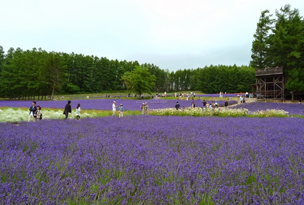 [Azul---Glria-Ishizaka-2610.jpg]