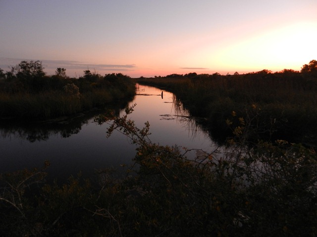 [DSCN0032%255B2%255D.jpg]