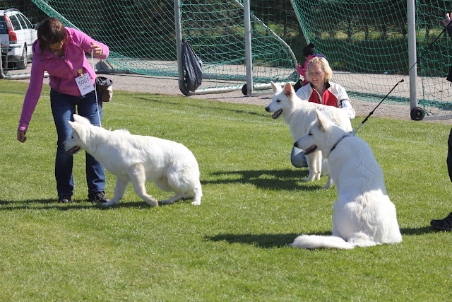 IMG_8775.JPG