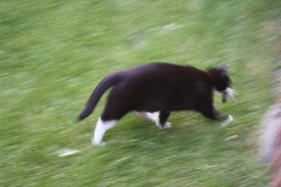 [IMG_7021%255B2%255D.jpg]