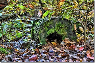 20111005_91 copy 20111005_91 copy