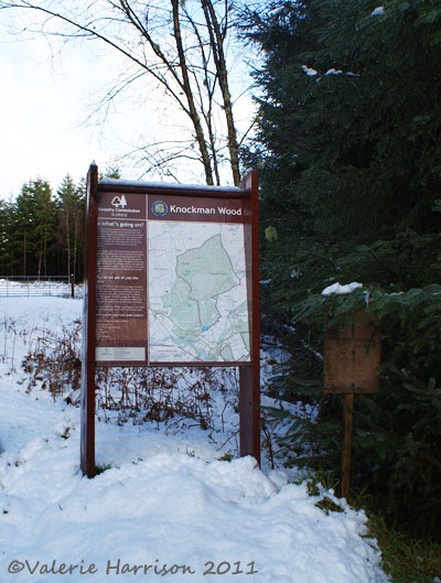 [1-knockman-sign%255B6%255D.jpg]