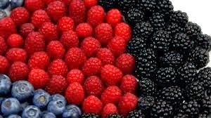 [stock-footage-berry-good-arrangement-of-raspberries-blueberries-and-blackberries-rotates-on-plate-against-white%255B2%255D.jpg]