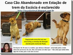 Caso Cão Abandonado em Estação de trem da_thumb[1]