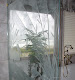 Etched glass in shower enclosure.