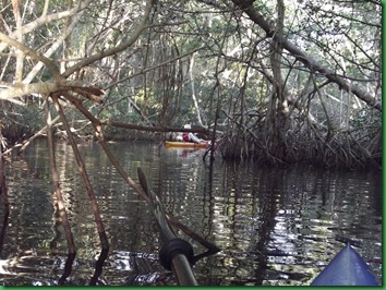 Coot Bay paddle 022