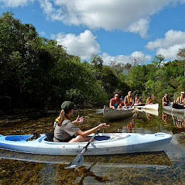 Big Cypress National Preserve: Turner River Canoe Trail
