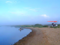 deltolet-10.jpg