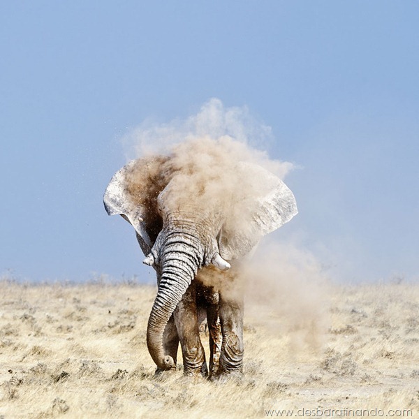 sony-world-photography-awards-2013-15 sony-world-photography-awards-2013-15