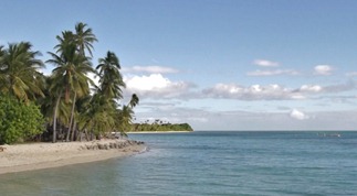 Plantation Island