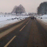 Snow