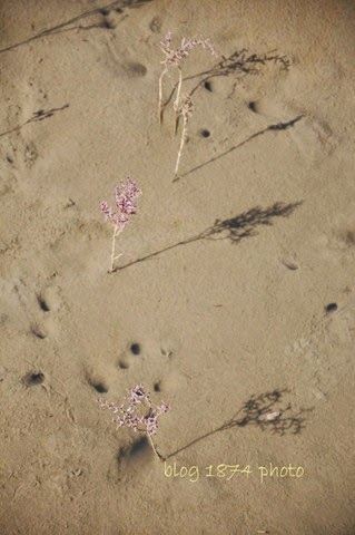 [SYG_4337%255B3%255D.jpg]