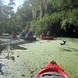 Two OClock Bayou Paddle July 14, 2012 - IMG_0036.JPG