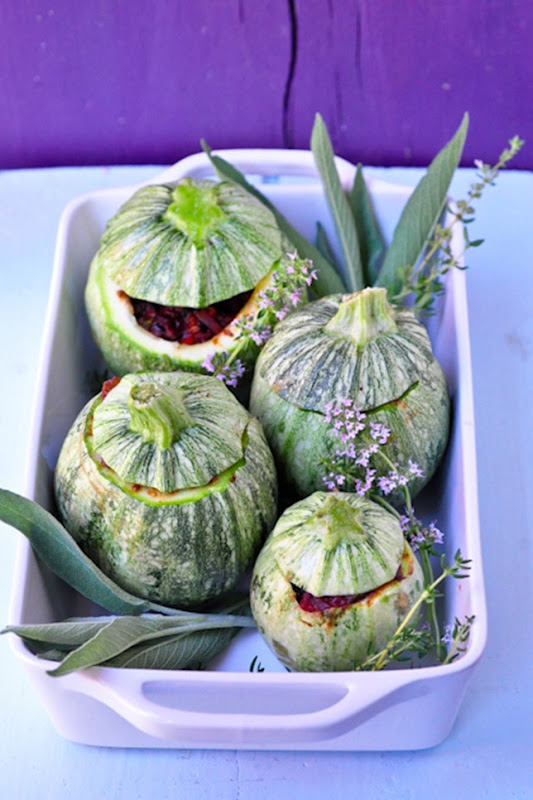 globe_zucchini_7 globe_zucchini_7