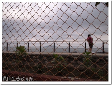 外澳海岸飄逸的漁網