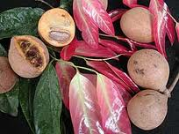 [image%255B71%255D.png]