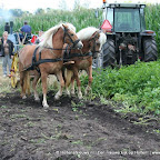 graanoogst-09-033.jpg